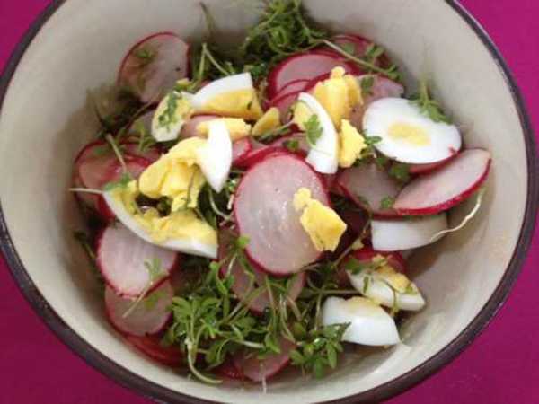 Spring Radish Salad with Egg and Garden Cress